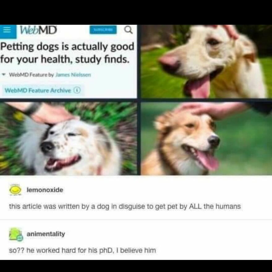 Much health. Wow Much health. Wow