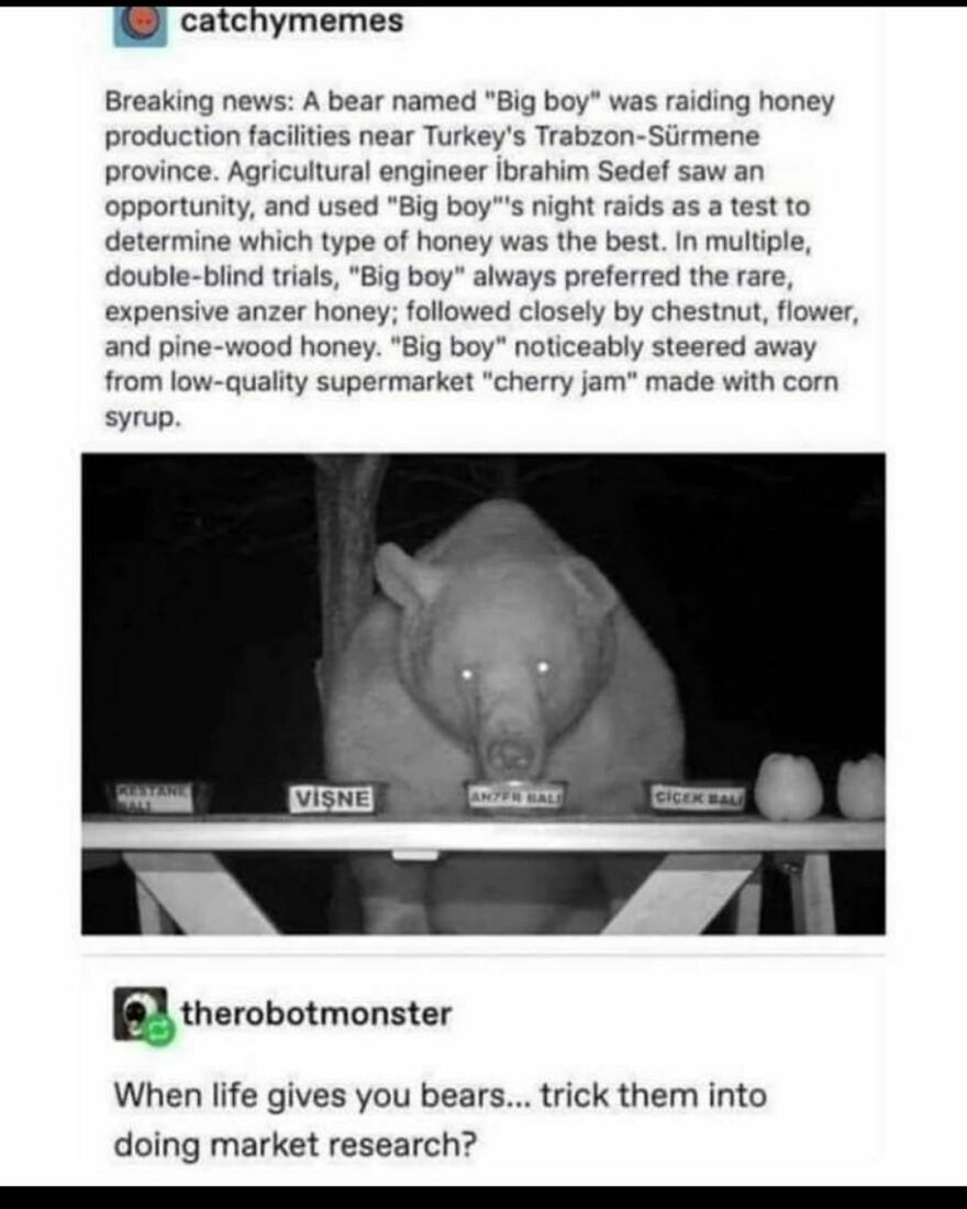 If you're having bear problems I feel bad for ya son.
I got 99 problems and market research ain't one.