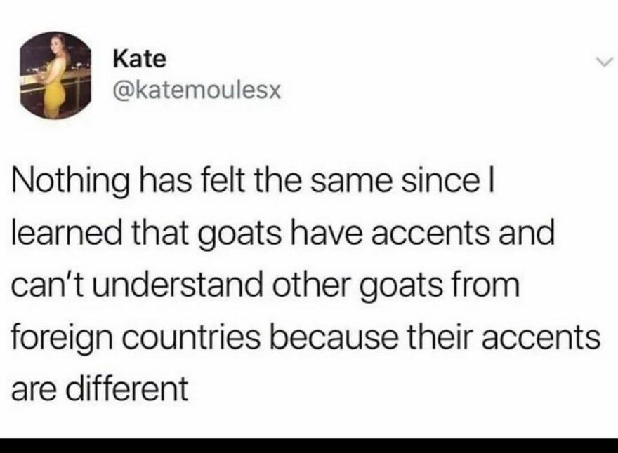 Le baaa.
Baaaa yall?! Le baaa.
Baaaa yall?!