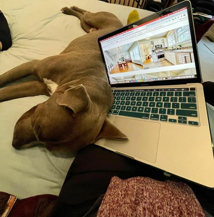 Trying To Get Some Work Done