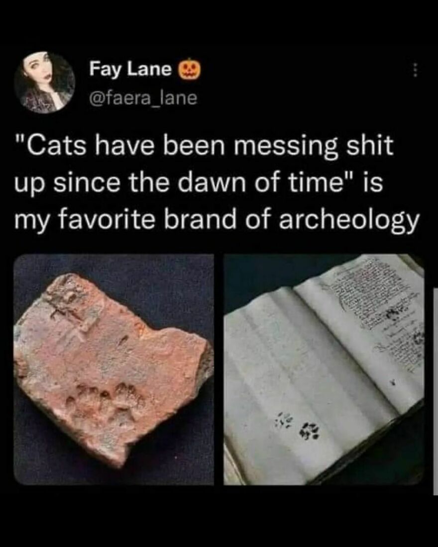 Post your favorite cat name in the comments Post your favorite cat name in the comments