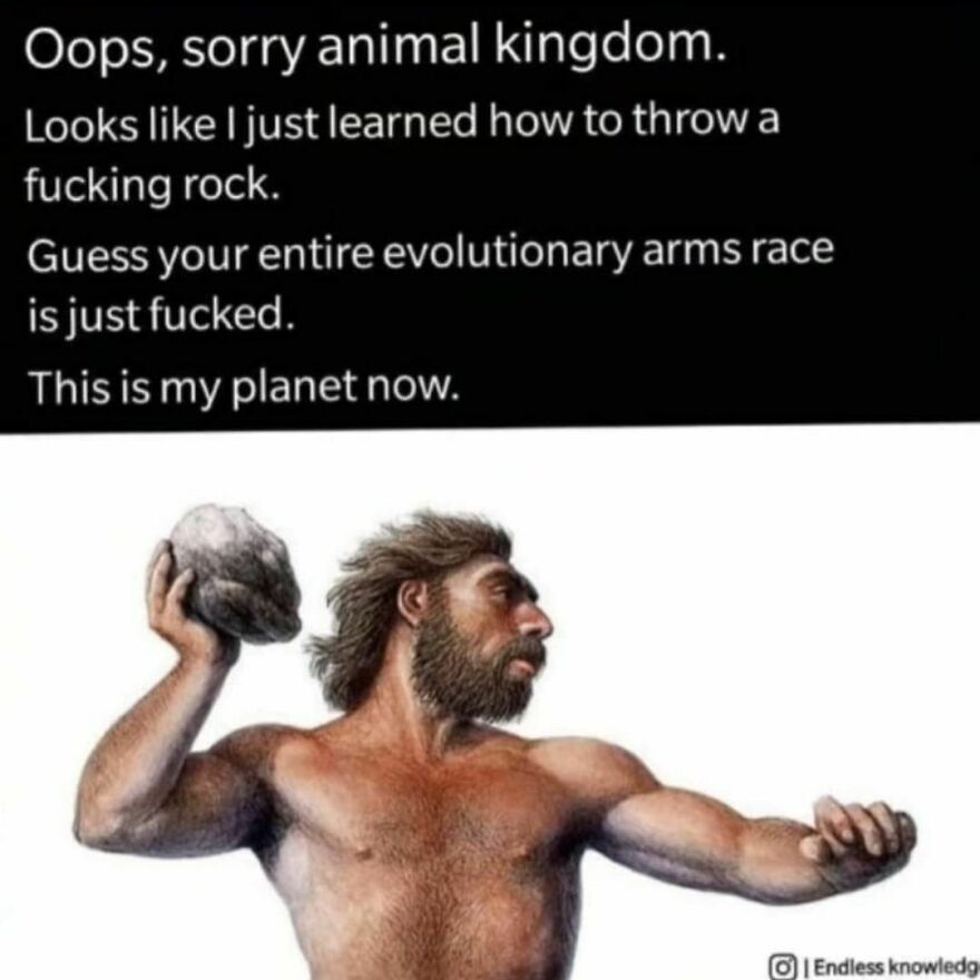 I'm the king of the jungle I'm the king of the jungle