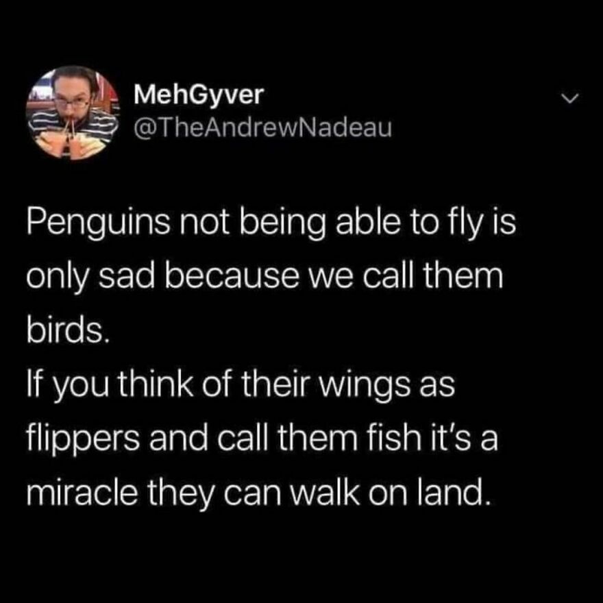 🐠