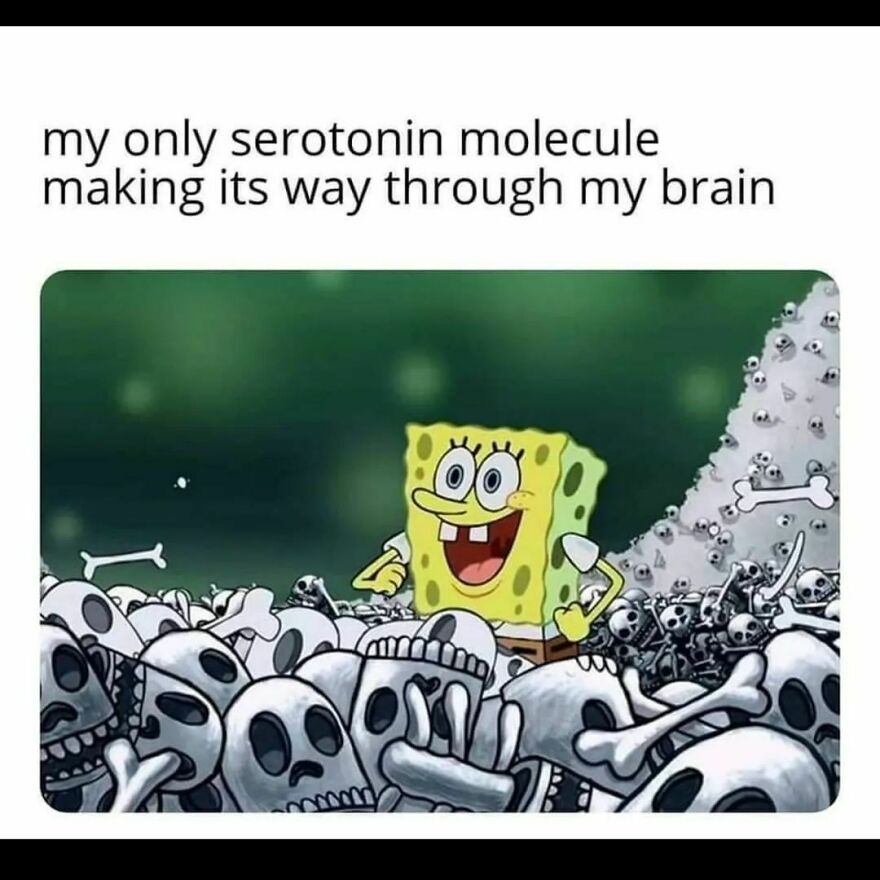 Good luck my bros and broskis Good luck my bros and broskis
