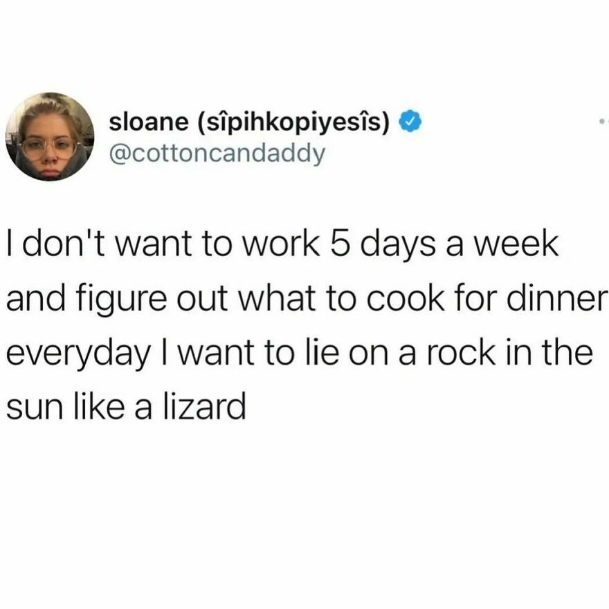 Where did you come from where did you go? Where did you come from lizard? Where did you come from where did you go? Where did you come from lizard?