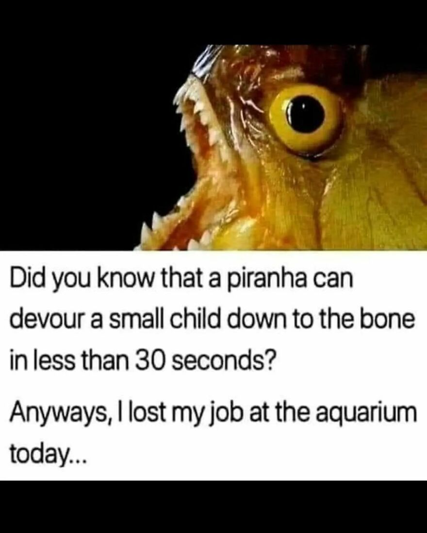 😳 😳