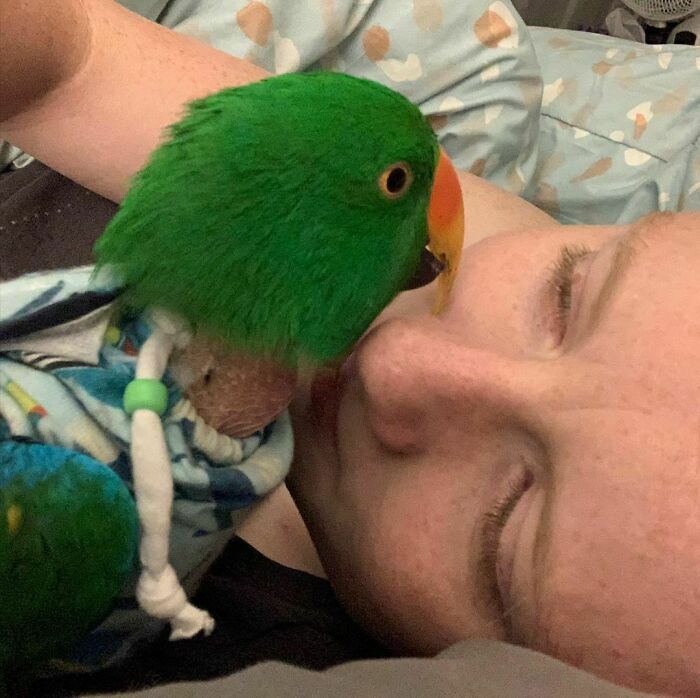 But Mum, Can’t You See? I Just Want To Be Close To You