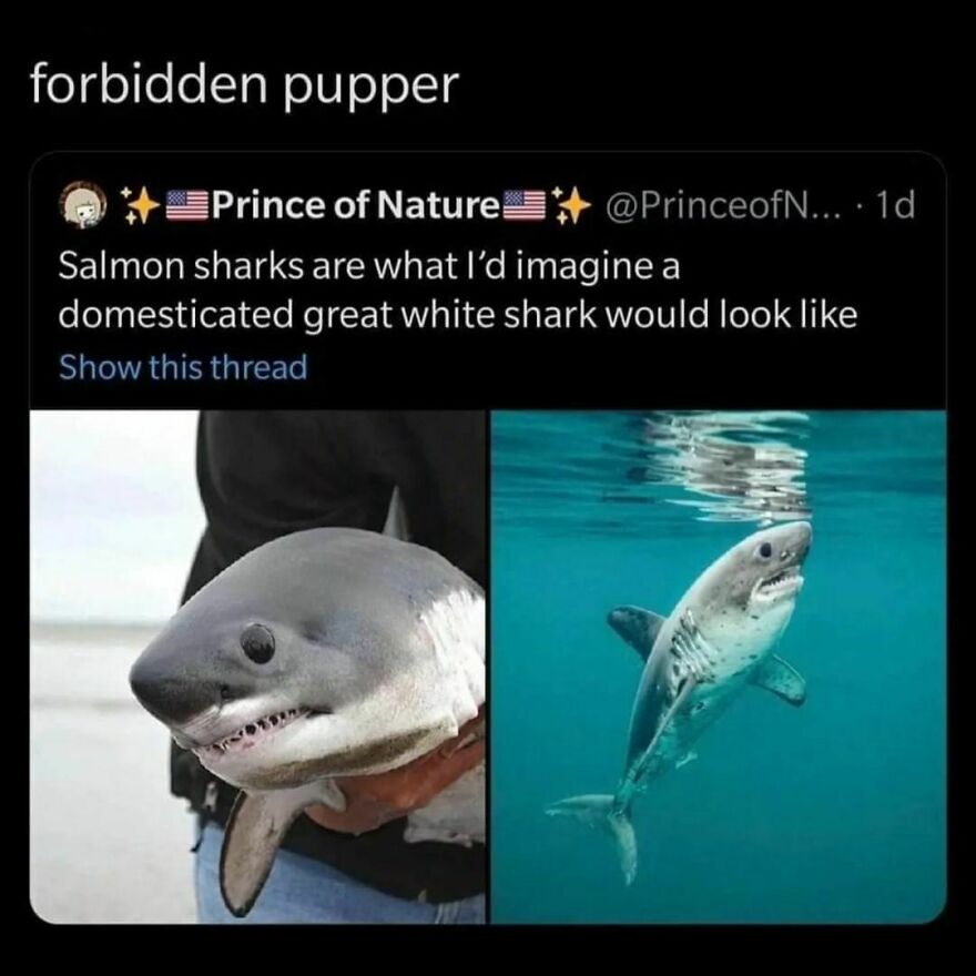 I want 7