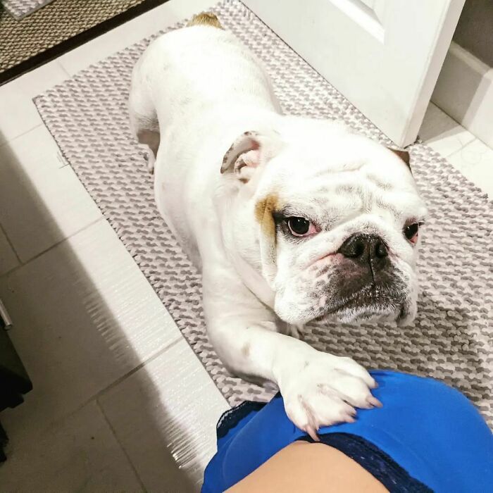 Mom, Mom, Moooom. Hi