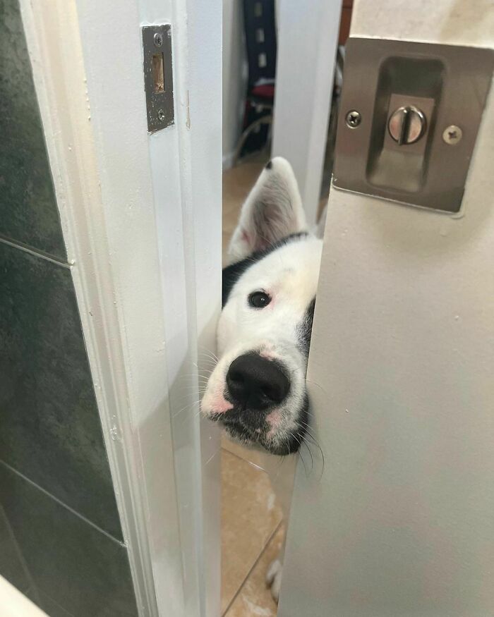 No Such Thing As Personal Space With Maki