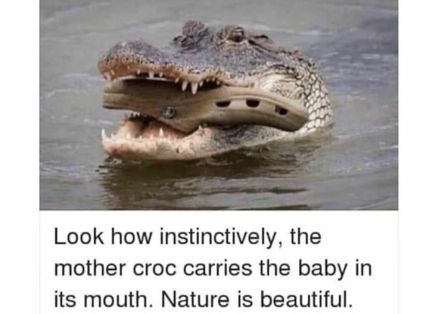 Amazing Amazing
