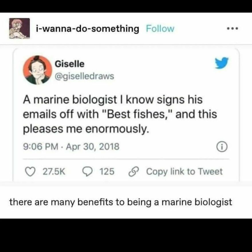 🐠 🐠