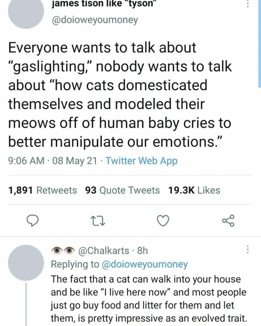 Cats are the top of the food chain Cats are the top of the food chain