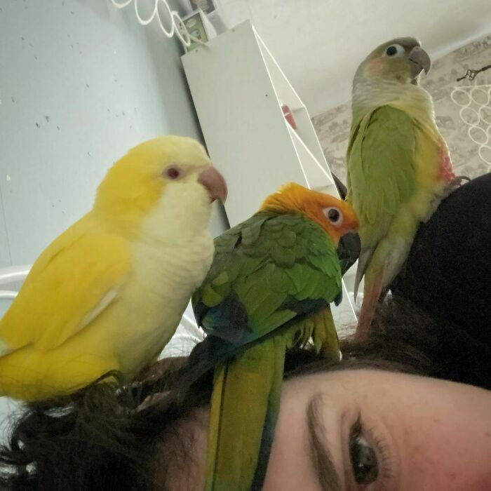 Okay, Guys, This Is Too Close