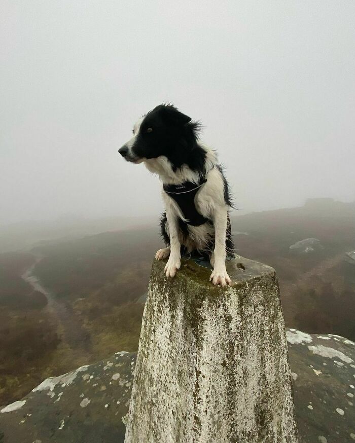 Fog & Rain. Amazing How Two Consecutive Days Can Be So Completely Different. No Views To Be Seen. Visibility Only 50 Metres