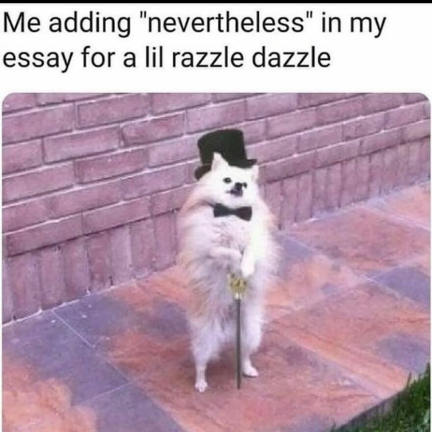 And my emails And my emails