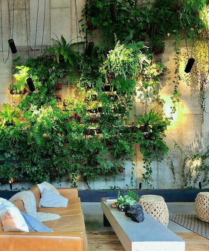 St. Patrick’s Day Has Me Reminiscing About This Gorgeous Green Indoor Garden