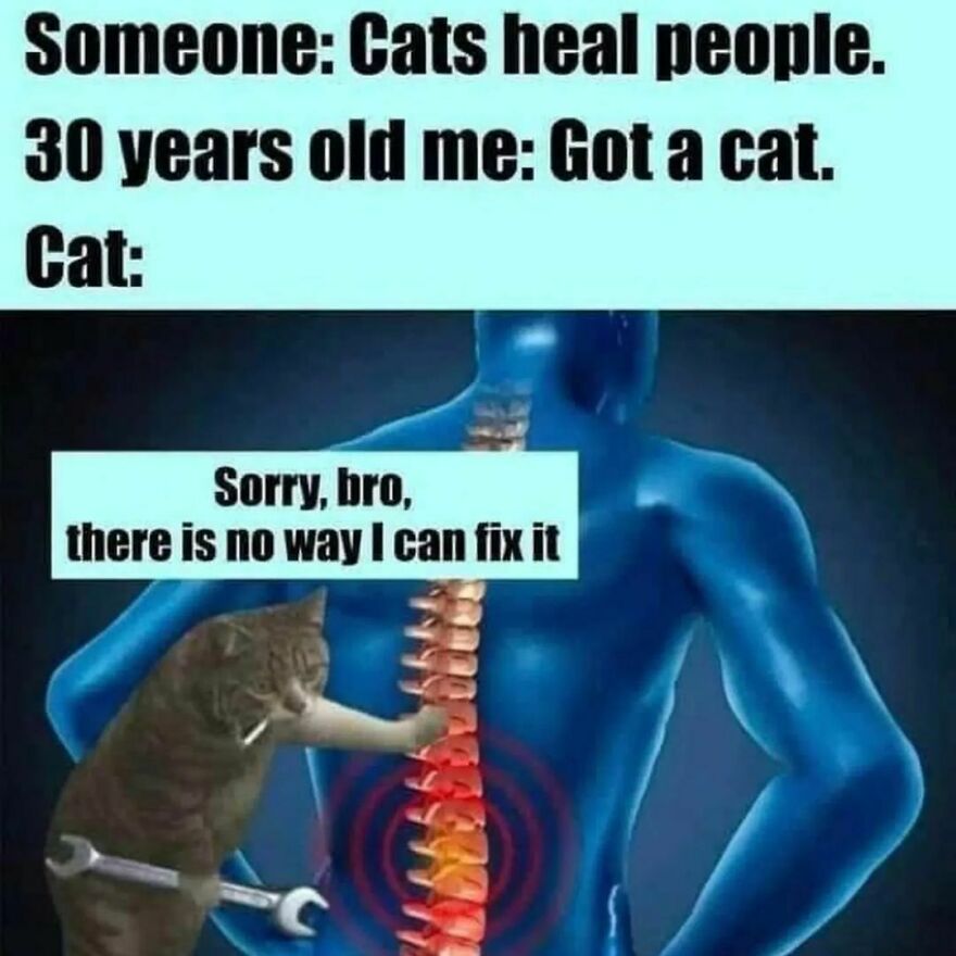 You need more help brother You need more help brother