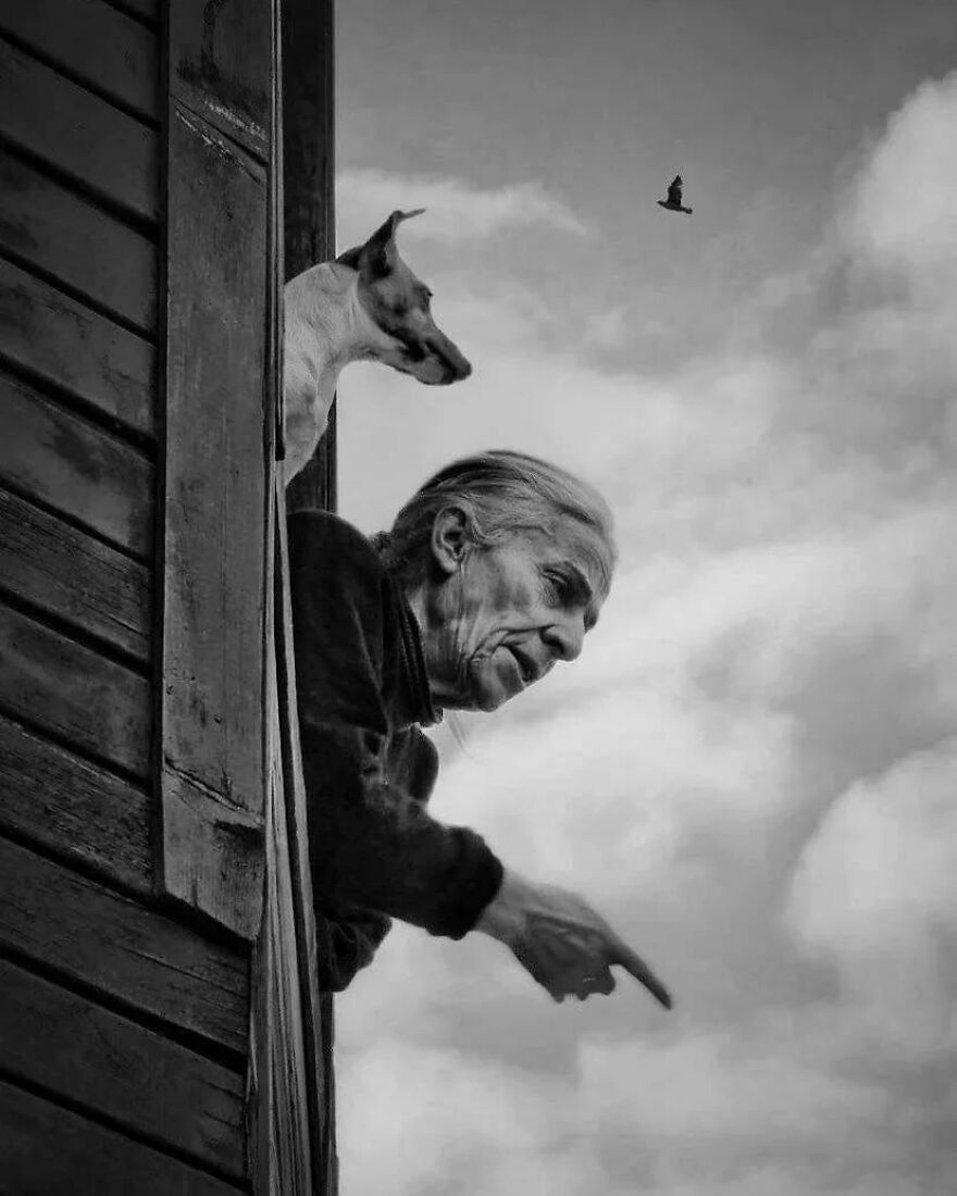 Here Are 62 Powerful Animal Images From Instagram "The Decisive Moments Magazine"