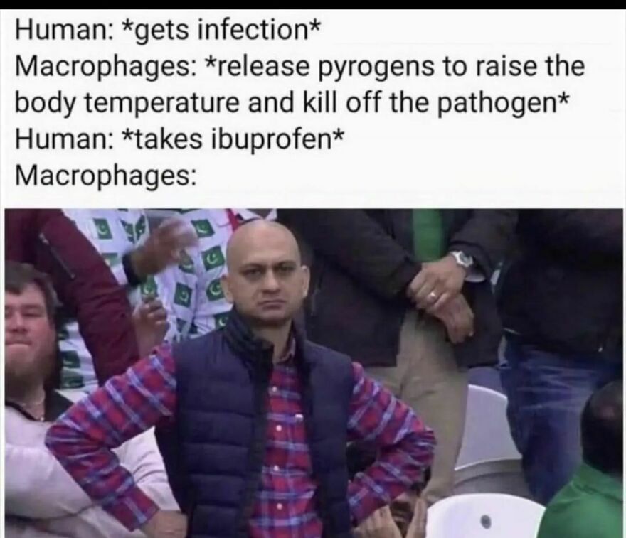Brah Brah