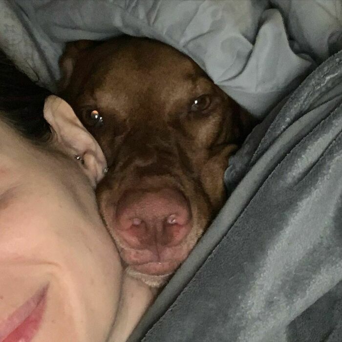 My Human Keeps Talking About This Whole Personal Space Thing, But I Don’t Know What She Means By It