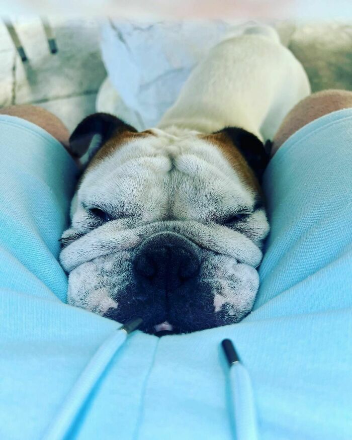 Never Peaceful With This One Around