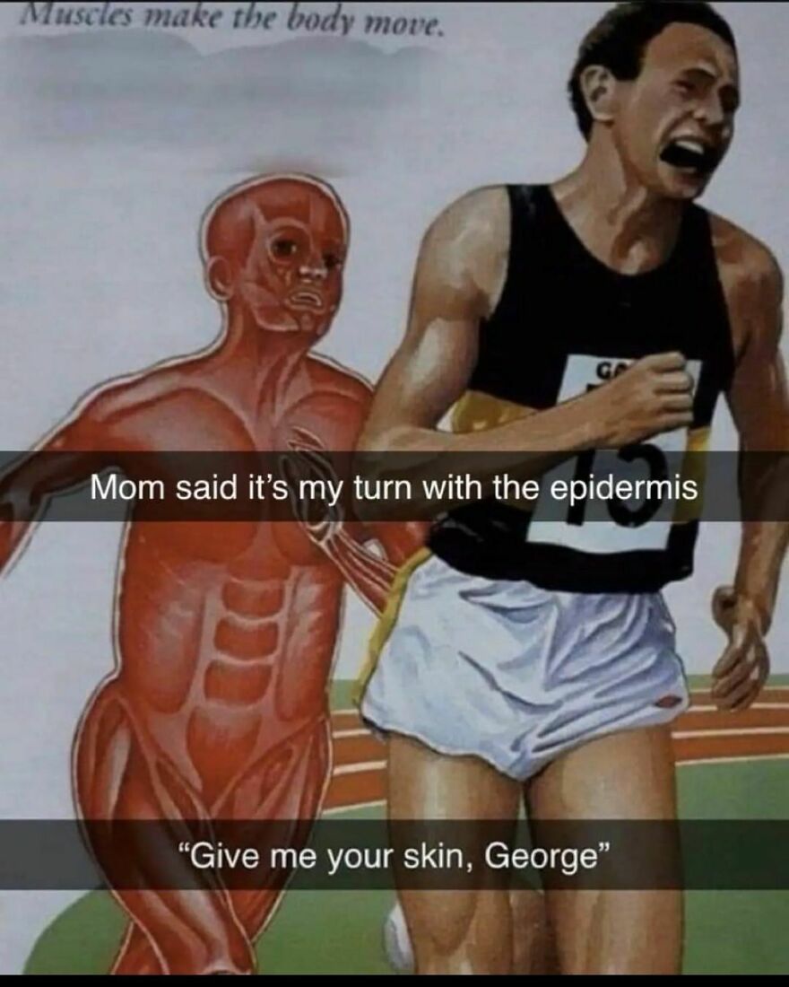 Muscles make the body move Muscles make the body move