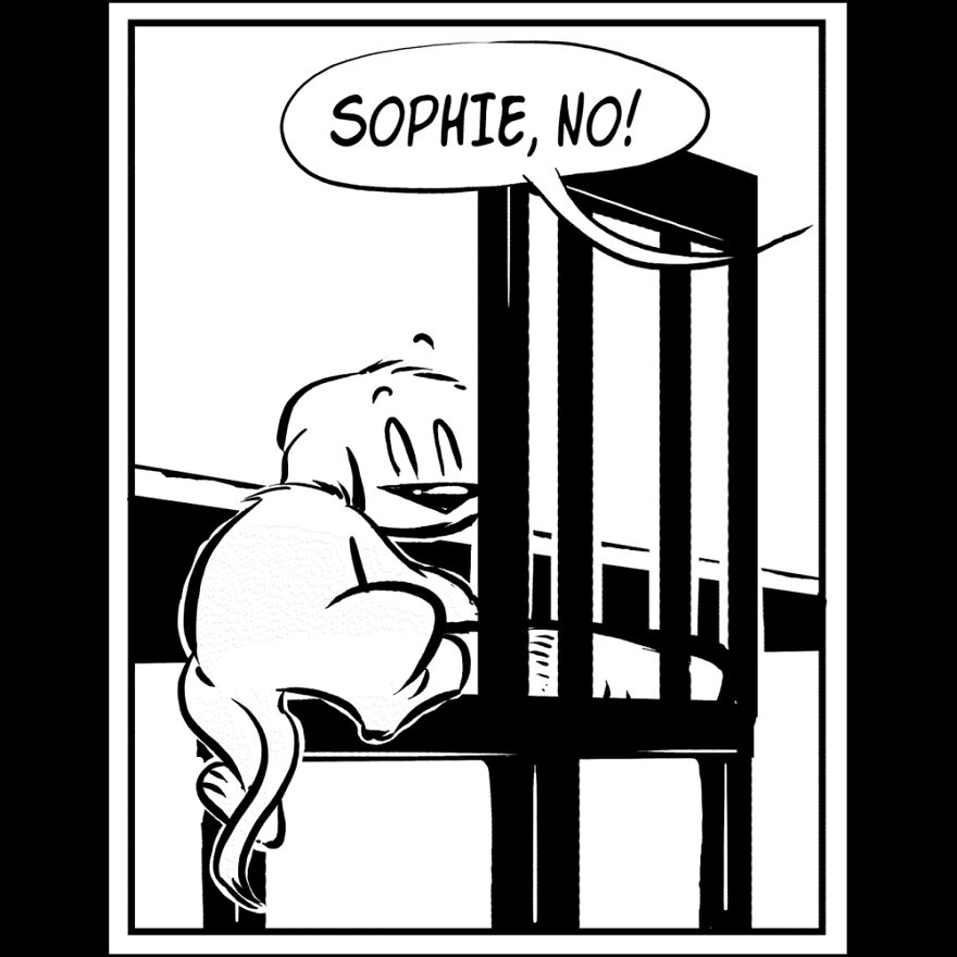 Comics For Dog Lovers Comics For Dog Lovers