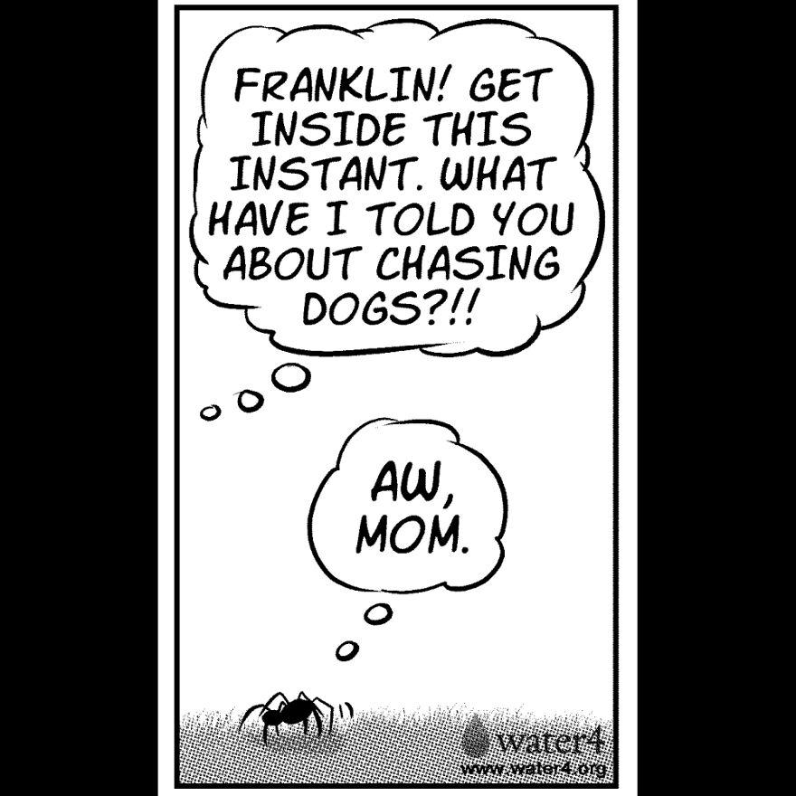 Comics For Dog Lovers Comics For Dog Lovers