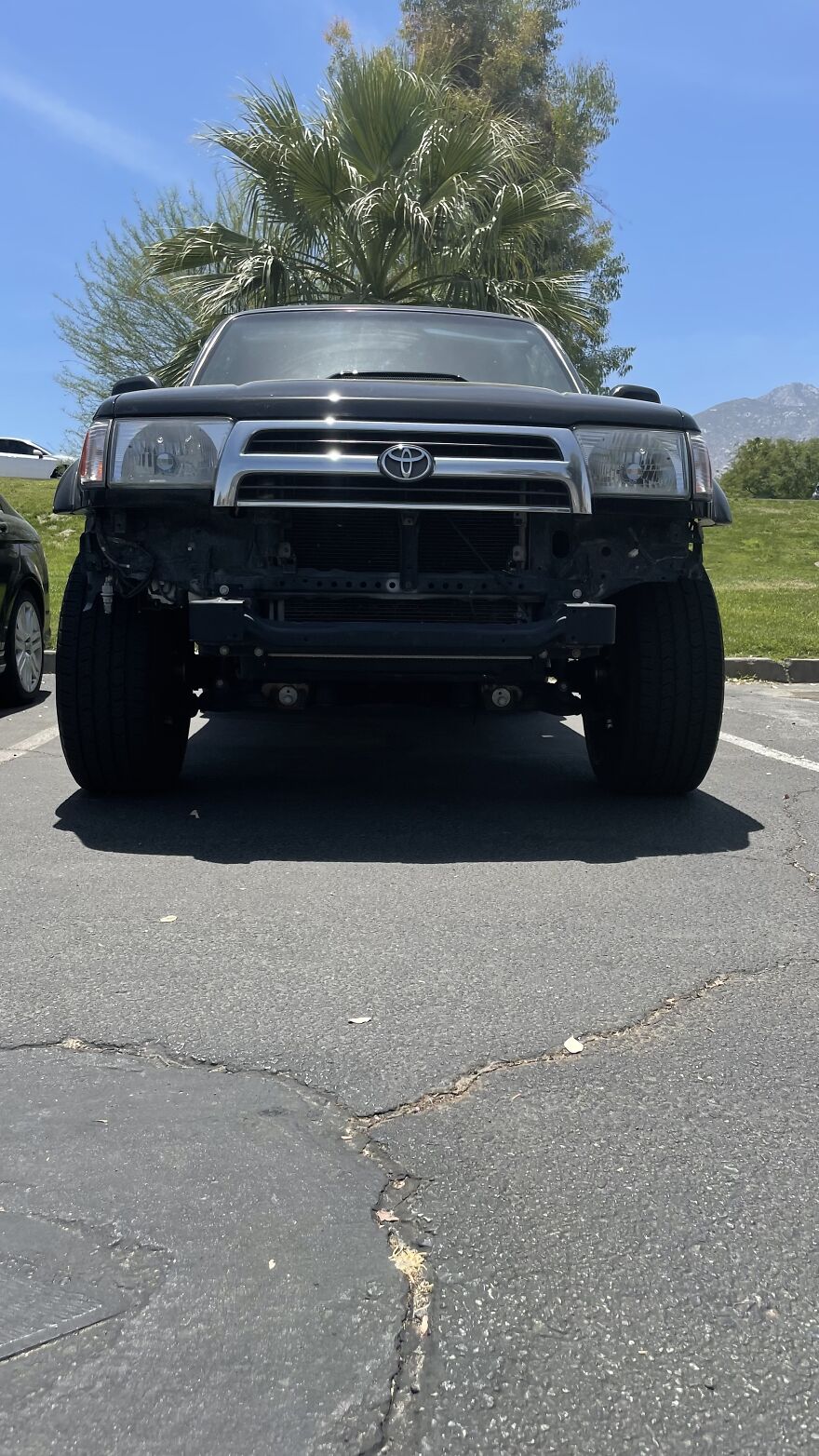 Here Are My First Published Images (40 Pics)