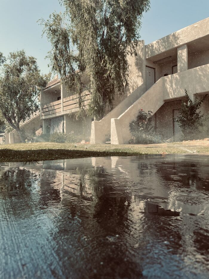 New Pictures That I Took (37 Pics)