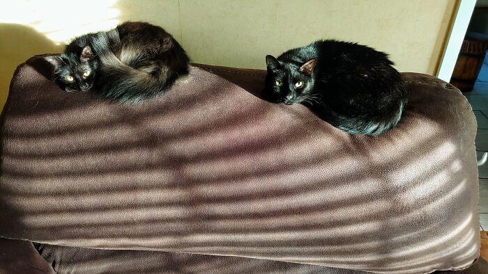 Could You Open The Blinds A Bit More? Thanks