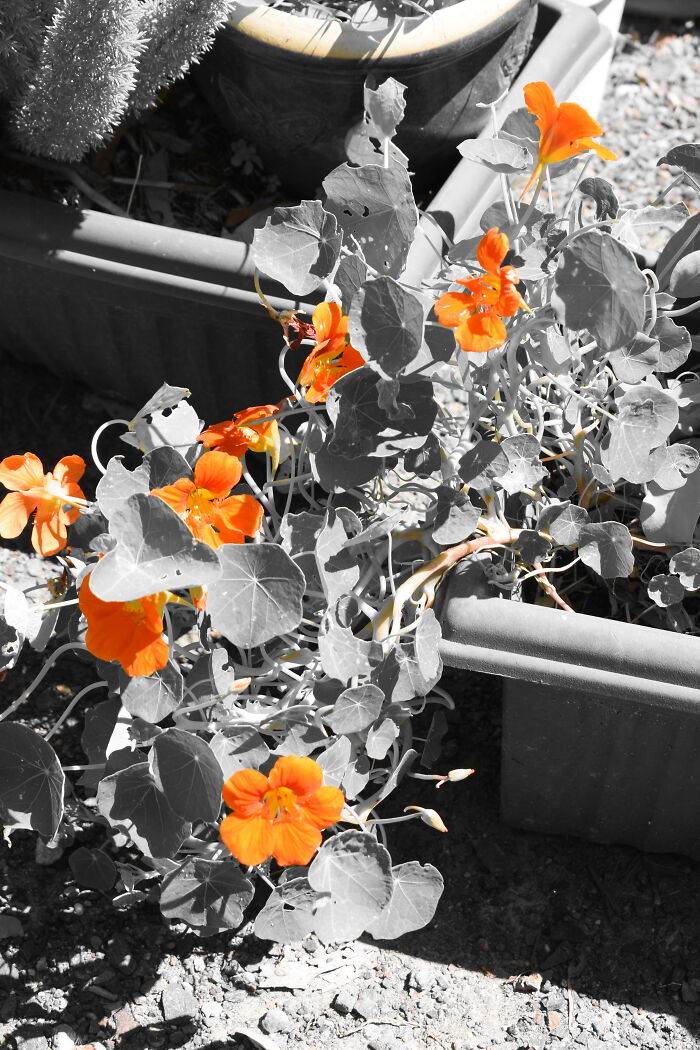 I Promise This Is The Last One...