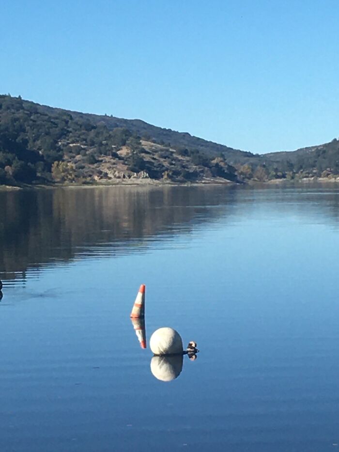 New Pictures That I Took (37 Pics)