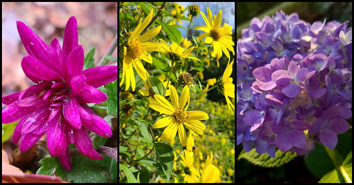 Photographer Captures Nature Through Her Lens On Early Morning Walks (5 Pics) Photographer Captures Nature Through Her Lens On Early Morning Walks (5 Pics)