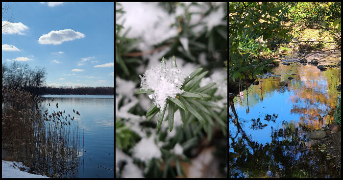 Photographer Captures Nature Through Her Lens On Early Morning Walks (5 Pics) Photographer Captures Nature Through Her Lens On Early Morning Walks (5 Pics)
