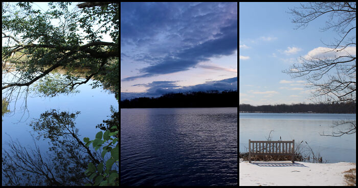 Photographer Captures Nature Through Her Lens On Early Morning Walks (5 Pics) Photographer Captures Nature Through Her Lens On Early Morning Walks (5 Pics)