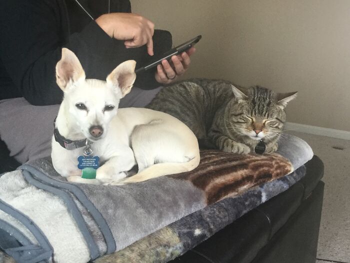 We Never Had Kids. I’ve Got My Whole World Here. (Inc Hubs)