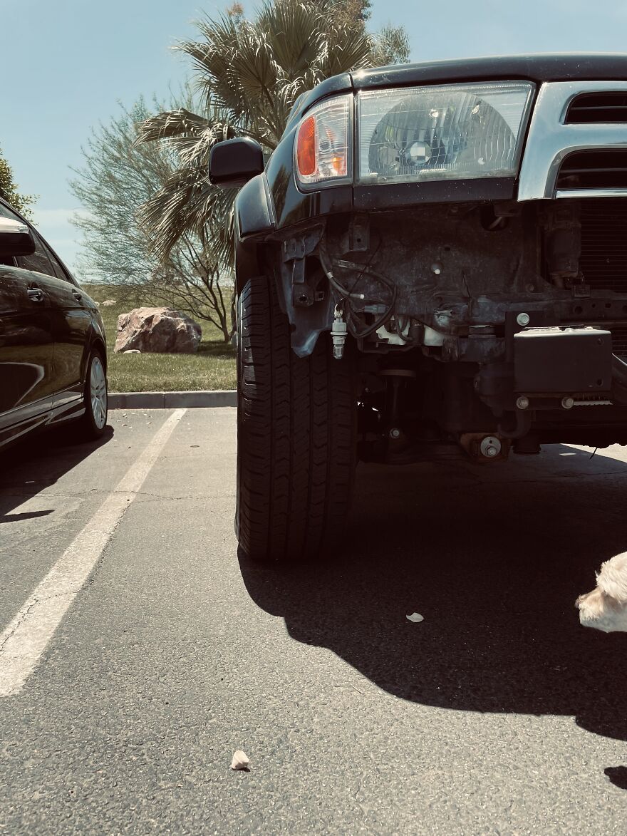 Here Are My First Published Images (40 Pics)