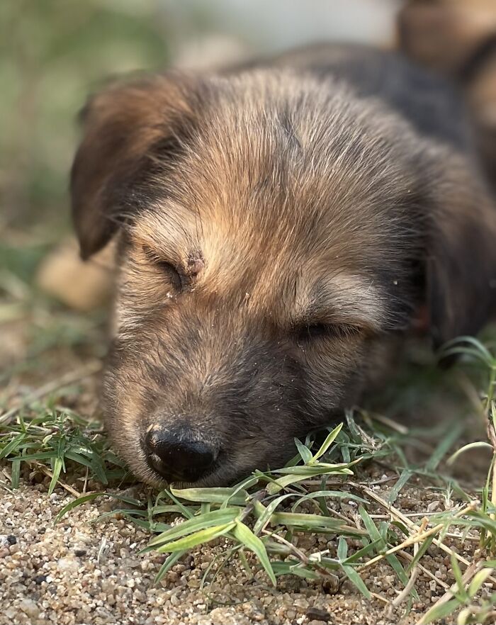 Sleep A Little More Mamma!!