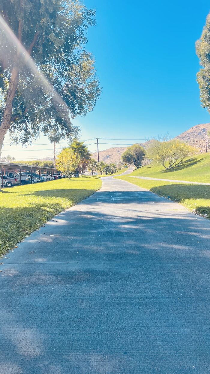 New Pictures That I Took (37 Pics)