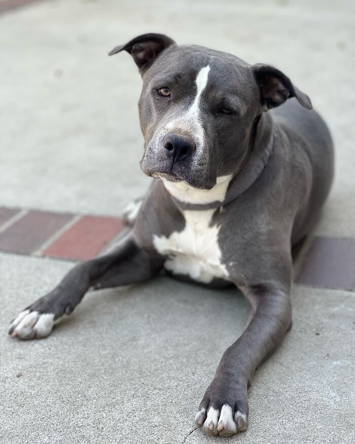 When You Know Someone Is Lying To Your Face