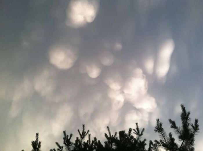 About 10 Years Ago Outside Of Lewisberry, Pa...cottonballs?