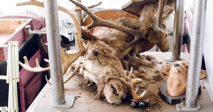 Five Images Of A Very Abandoned Japan (Project Title: The Lost World)