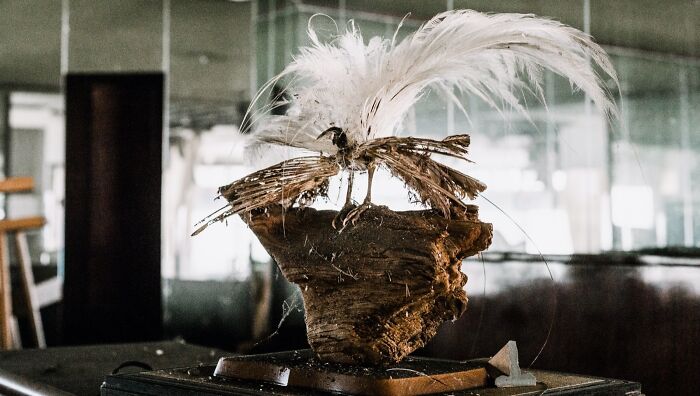 Five Images Of A Very Abandoned Japan (Project Title: The Lost World)