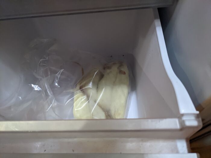 I Promise The Frozen Rats Aren't For Human Consumption