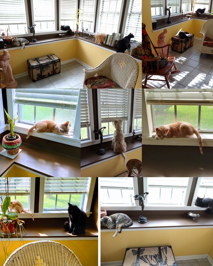 Everyone Loves The Sun Room