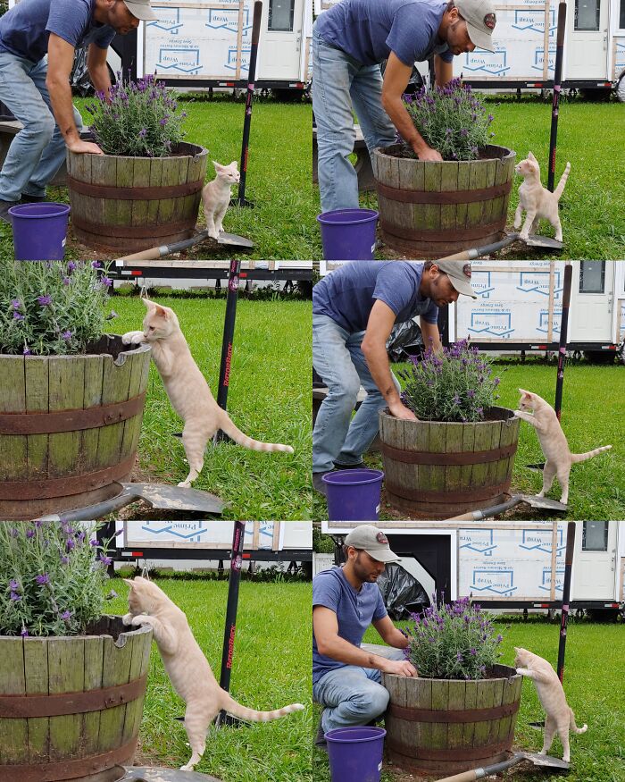 Helping With Some Spring Gardening