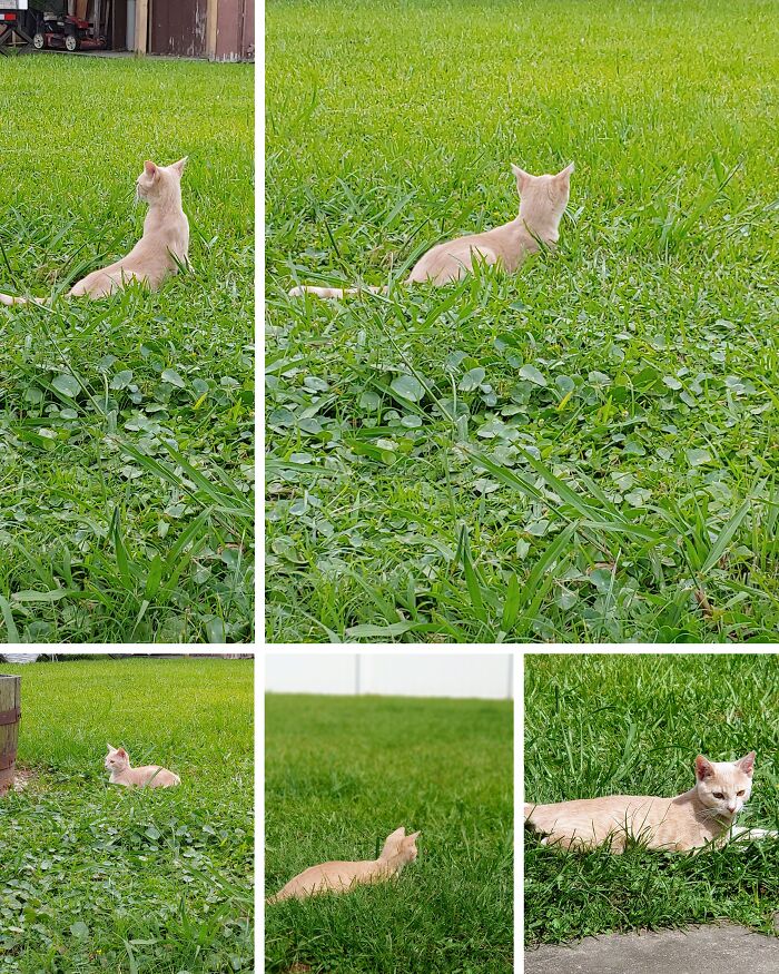 Loungin' In The Grass