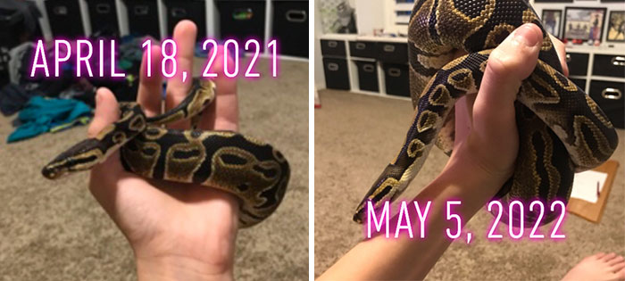 Just Over One Year Apart